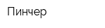 Пинчер