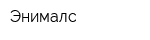 Энималс
