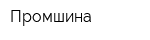 Промшина