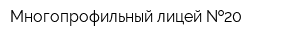 Многопрофильный лицей  20