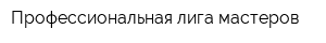 Профессиональная лига мастеров