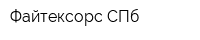 Файтексорс СПб