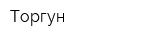 Торгун