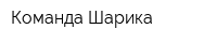 Команда Шарика