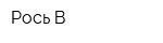 Рось-В