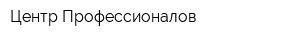 Центр Профессионалов