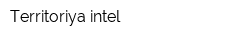 Territoriya intel