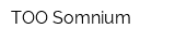 ТОО Somnium