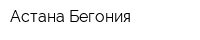 Астана Бегония