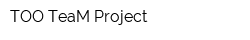 ТОО TeaM Project
