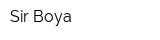 Sir Boya