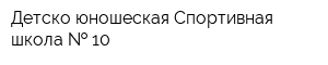 Детско-юношеская Спортивная школа   10