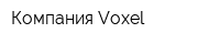 Компания Voxel