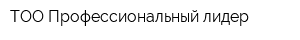 ТОО Профессиональный лидер