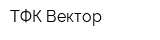 ТФК Вектор