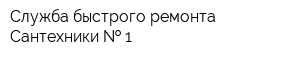 Служба быстрого ремонта Сантехники   1