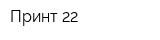 Принт 22
