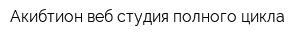 Акибтион веб студия полного цикла