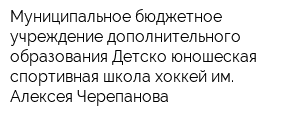 Муниципальное бюджетное учреждение дополнительного образования Детско-юношеская спортивная школа-хоккей им Алексея Черепанова