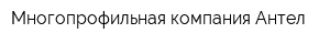 Многопрофильная компания Антел