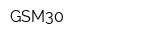 GSM30