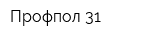 Профпол-31