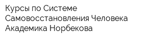 Курсы по Системе Самовосстановления Человека Академика Норбекова