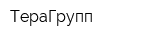 ТераГрупп