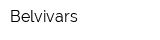 Belvivars