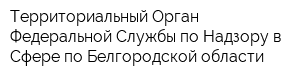 Территориальный Орган Федеральной Службы по Надзору в Сфере по Белгородской области