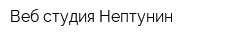 Веб-студия Нептунин
