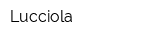 Lucciola