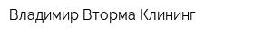 Владимир Вторма Клининг