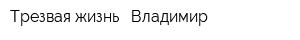 Трезвая жизнь - Владимир