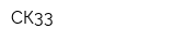 СК33