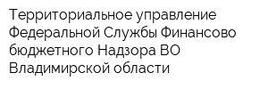 Территориальное управление Федеральной Службы Финансово-бюджетного Надзора ВО Владимирской области