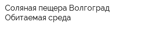 Соляная пещера Волгоград Обитаемая среда