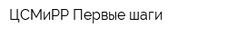 ЦСМиРР Первые шаги