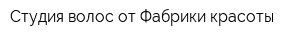 Студия волос от Фабрики красоты