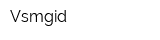 Vsmgid