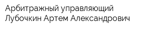 Арбитражный управляющий Лубочкин Артем Александрович