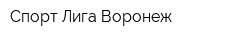 Спорт-Лига-Воронеж