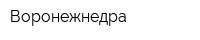Воронежнедра