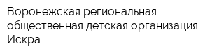 Воронежская региональная общественная детская организация Искра