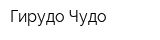 Гирудо Чудо