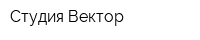 Студия Вектор