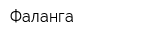 Фаланга
