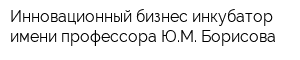 Инновационный бизнес-инкубатор имени профессора ЮМ Борисова