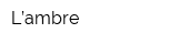 L’ambre