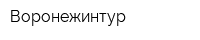 Воронежинтур